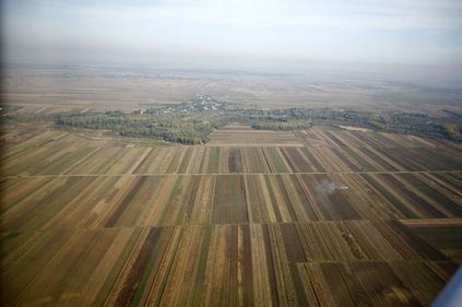 Terenurile agricole, ieftine şi profitabile până la extrem. Români şi străini luptă să prindă cele mai bune parcele.