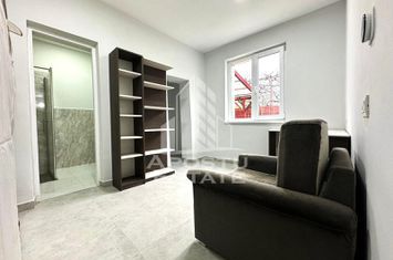 Apartament luminos cu 3 camere si curte comuna anunturi imobiliare Arad