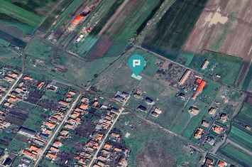 Loc de casa de 512mp în Livada anunturi imobiliare Arad