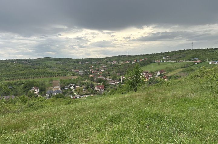 Teren 1300 mp Dealuri Oradea anunturi imobiliare Bihor