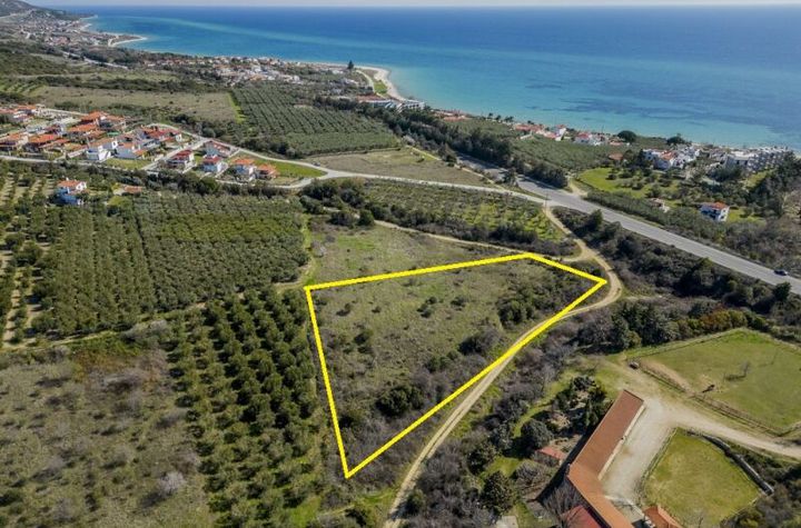 Teren agricol 4.305 mp în Kariani, la 350 m de plajă anunturi imobiliare Grecia