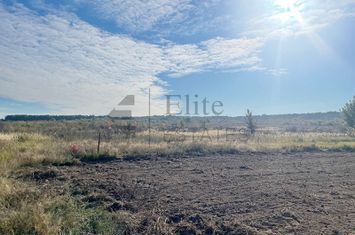 Teren intravilan de vanzare in Cihei anunturi imobiliare Bihor