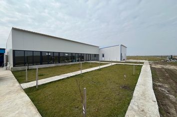 Spațiu comercial de vanzare CRAIOVA - Dolj anunturi imobiliare Dolj