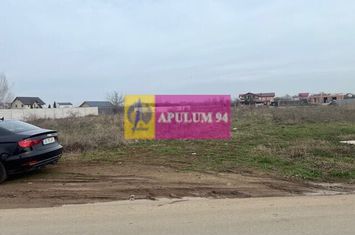 Teren Domnesti- Drumul Targului. anunturi imobiliare Bucuresti
