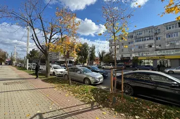 Spațiu comercial de inchiriat IASI - Iasi anunturi imobiliare Iasi