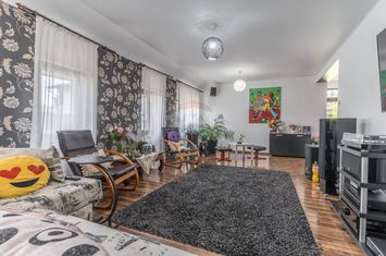Casă / Vilă cu 5 camere de vânzare I Dancu I Comision 0% anunturi imobiliare Iasi