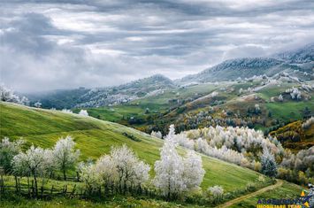 Vilă - 9 camere de vanzare EXTERIOR EST - Brasov anunturi imobiliare Brasov