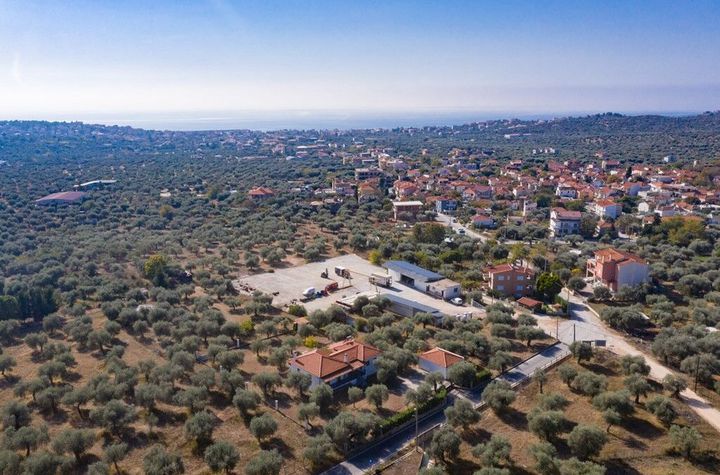 Teren construibil 3.423 mp în Kalyvia Limenaria anunturi imobiliare Grecia