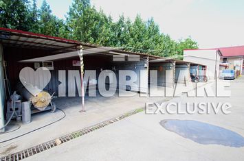Spalatorie Auto - Girocului, Timisoara anunturi imobiliare Timis