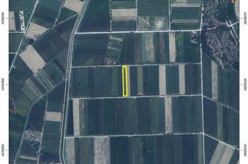 Teren agricol 5520 mp în Drymousa, Chrysoupolis anunturi imobiliare Grecia
