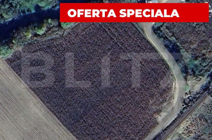 Teren de vanzare BLAJ - Alba anunturi imobiliare Alba
