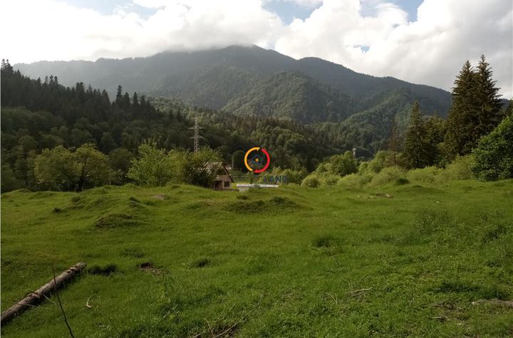 Teren Intravilan de vanzare EXTERIOR EST - Brasov anunturi imobiliare Brasov
