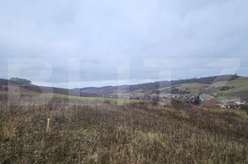 Teren de vanzare LIVEZENI - Mures anunturi imobiliare Mures