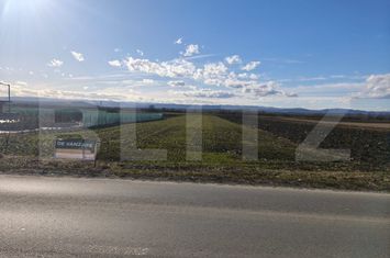 Teren de vanzare FRATAUTII VECHI - Suceava anunturi imobiliare Suceava