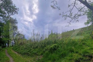Teren de vanzare CAMPENI - Alba anunturi imobiliare Alba
