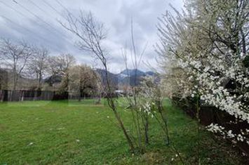 Teren de vanzare SACELE - Brasov anunturi imobiliare Brasov