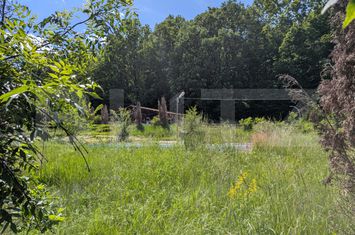 Teren de vanzare VALEA MARE - Dambovita anunturi imobiliare Dambovita