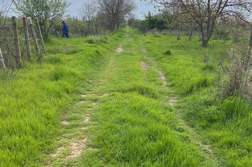 TEREN INTRAVILAN-500 MP-VIILOR-FAGULUI anunturi imobiliare Bucuresti