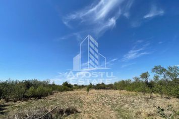 Teren 1680 mp, Seceani, 26 Km de Timisoara, COMISION 0%. anunturi imobiliare Timis