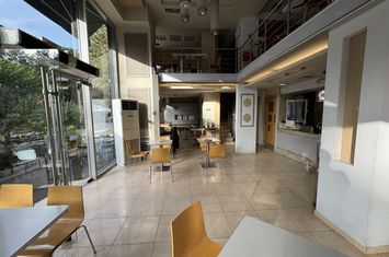 Local comercial (fast food), 200 mp — centrul Serres anunturi imobiliare Grecia