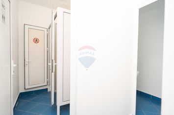 Spațiu comercial de 280mp de închiriat anunturi imobiliare Iasi