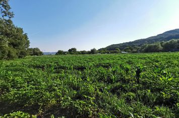 Teren de vanzare SIBIU - Sibiu anunturi imobiliare Sibiu