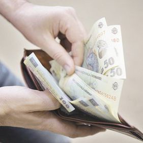 Forfetarul, calculat după cifra de afaceri
