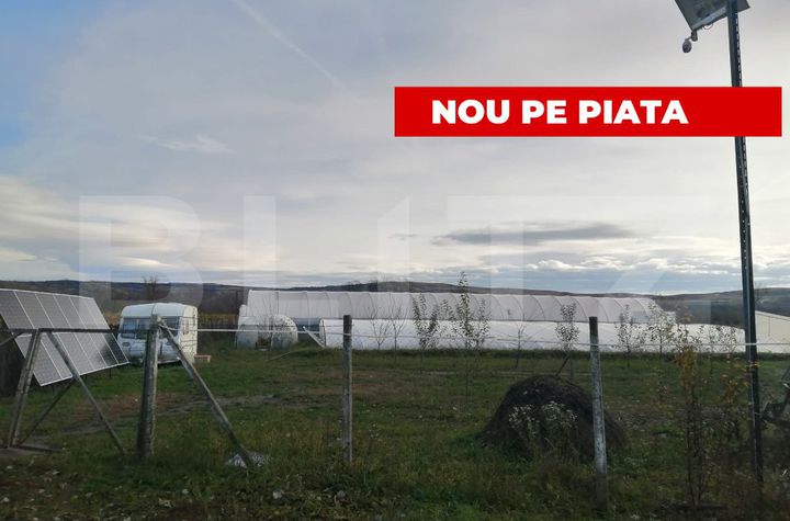 Teren de vanzare ALBA IULIA - Alba anunturi imobiliare Alba