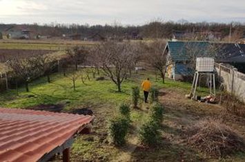 Casă - 5 camere de vanzare LAPUSEL - Maramures anunturi imobiliare Maramures