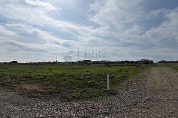 Teren intravilan 700 mp de vanzare in Paleu anunturi imobiliare Bihor