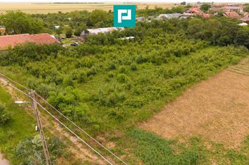 Teren 2400 mp - Tisa Noua, com. Fantanele anunturi imobiliare Arad