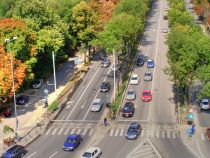 Kiseleff, cel mai scump bulevard din lume. Reabilitarea sa costă 45 de milioane de euro