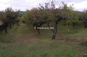 Teren de vânzare în Câmpina anunturi imobiliare Prahova
