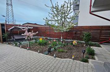 Casa P+1+M Str Leordeni - 180mp teren anunturi imobiliare Bucuresti