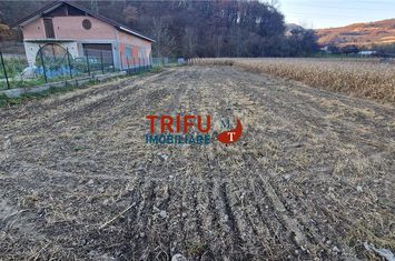 Teren Intravilan de vanzare AMPOITA - Alba anunturi imobiliare Alba