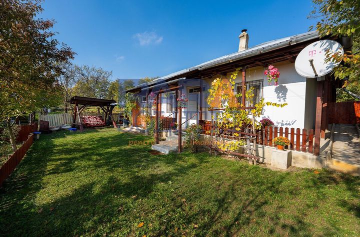Căsuță frumoasa la țară cu toate condițiile necesare anunturi imobiliare Neamt