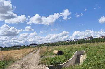 TEREN COCOSESESTI//INTRAVILAN anunturi imobiliare Prahova