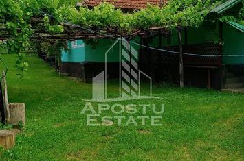 Casa batraneasca de vanzare, 4 camere, in Hunedoara, sat Micanesti anunturi imobiliare Hunedoara