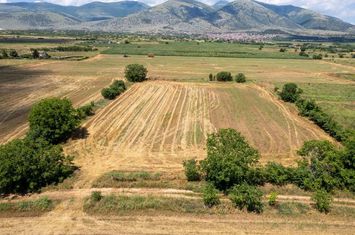 Teren construibil 8.090 mp în Xiropotamos anunturi imobiliare Grecia