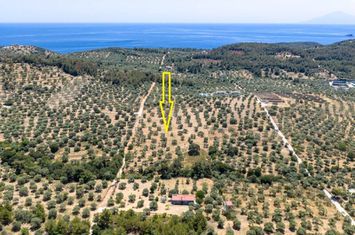 Teren construibil 12.390 mp în Astrida, Thassos anunturi imobiliare Grecia