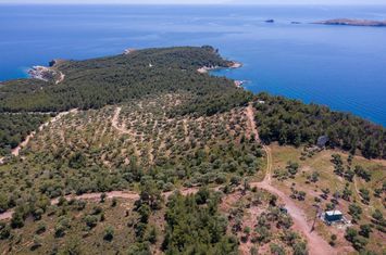 Teren construibil 5.107,70 mp, Astrida (Thassos) anunturi imobiliare Grecia