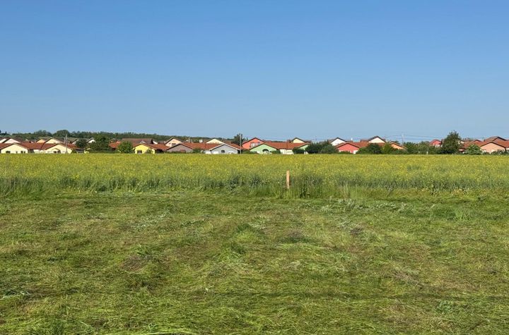 Teren de vanzare PALEU - Bihor anunturi imobiliare Bihor