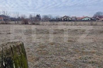 Teren de vanzare STUPINI - Brasov anunturi imobiliare Brasov