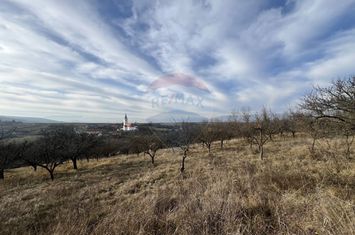 Teren intravilan, Bădeni, parcelabil anunturi imobiliare Cluj