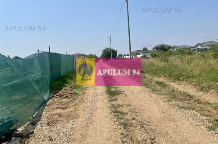 Teren Domnesti- Ciutaci. anunturi imobiliare Bucuresti