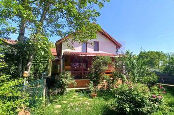Joița, vilă 5 camere 187 mp utili + garaj, terasă, pivniță, curte 578 anunturi imobiliare Giurgiu