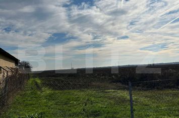 Teren de vanzare DRAGOMIRESTI - Dambovita anunturi imobiliare Dambovita