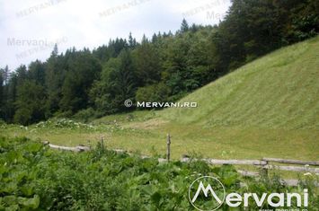 Teren Intravilan de vanzare AZUGA - Prahova anunturi imobiliare Prahova