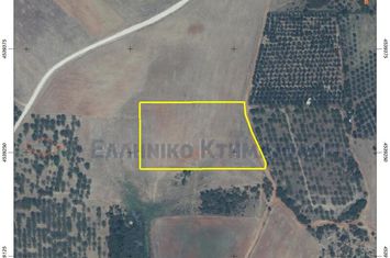 Teren construibil 11.062 mp lângă lac - Chrysoupoli Nestos anunturi imobiliare Grecia