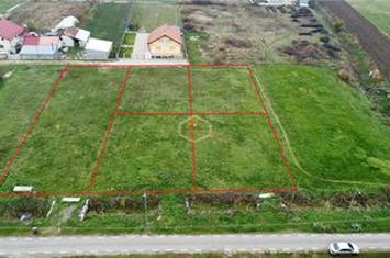 Teren Intravilan de vanzare NORD - Satu Mare anunturi imobiliare Satu Mare